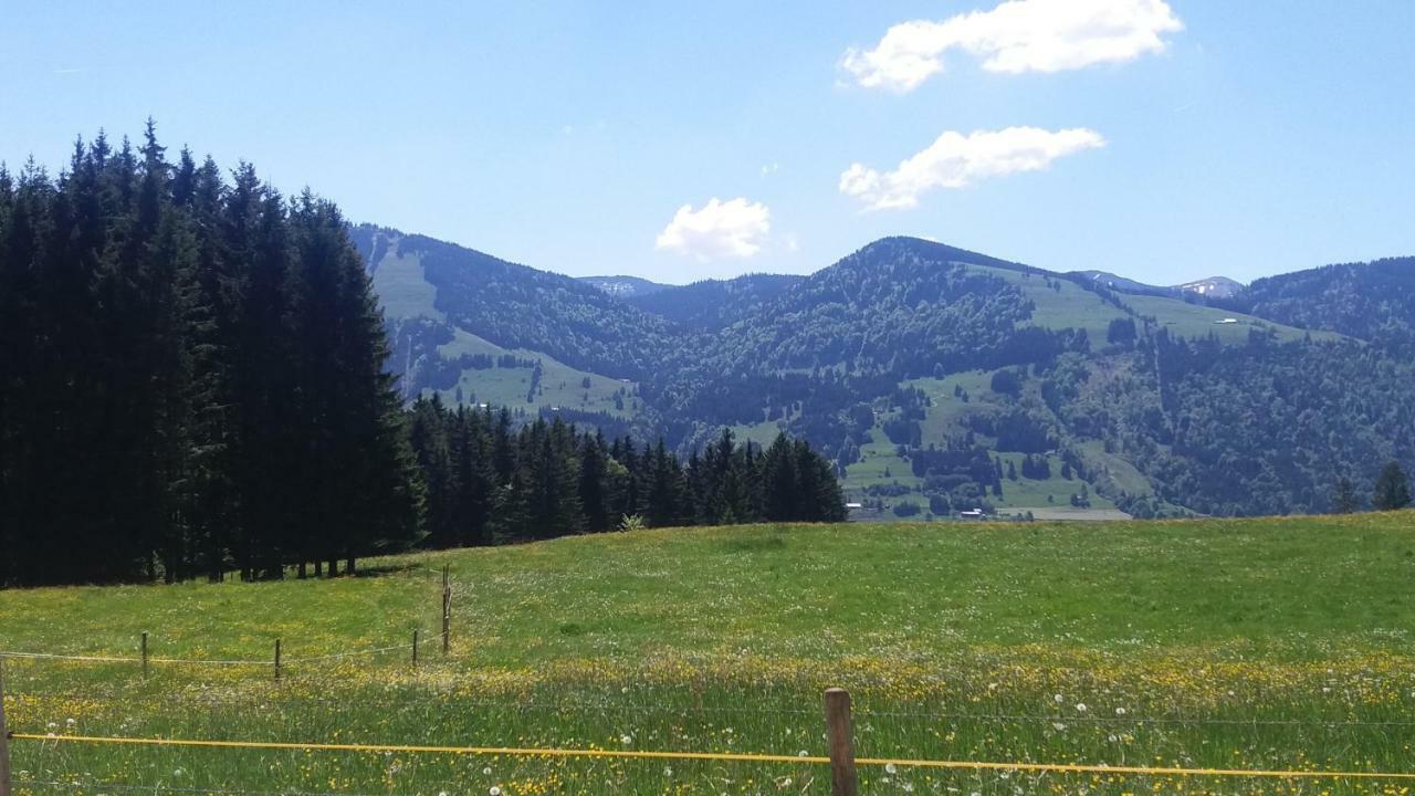 Ferienwohnung Alpenfreude Міссен-Вільгамс Екстер'єр фото