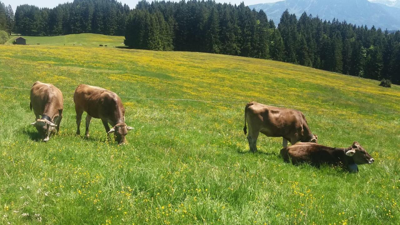 Ferienwohnung Alpenfreude Міссен-Вільгамс Екстер'єр фото