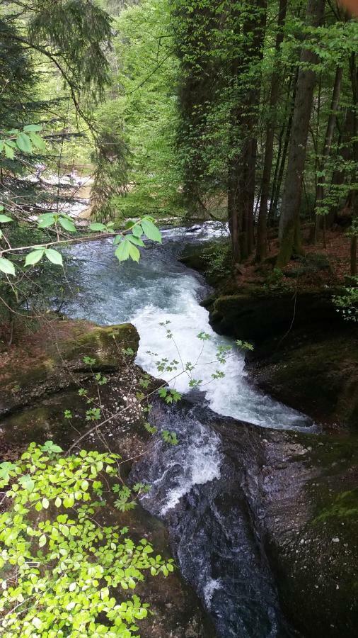 Ferienwohnung Alpenfreude Міссен-Вільгамс Екстер'єр фото